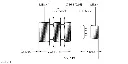 100039010.webp