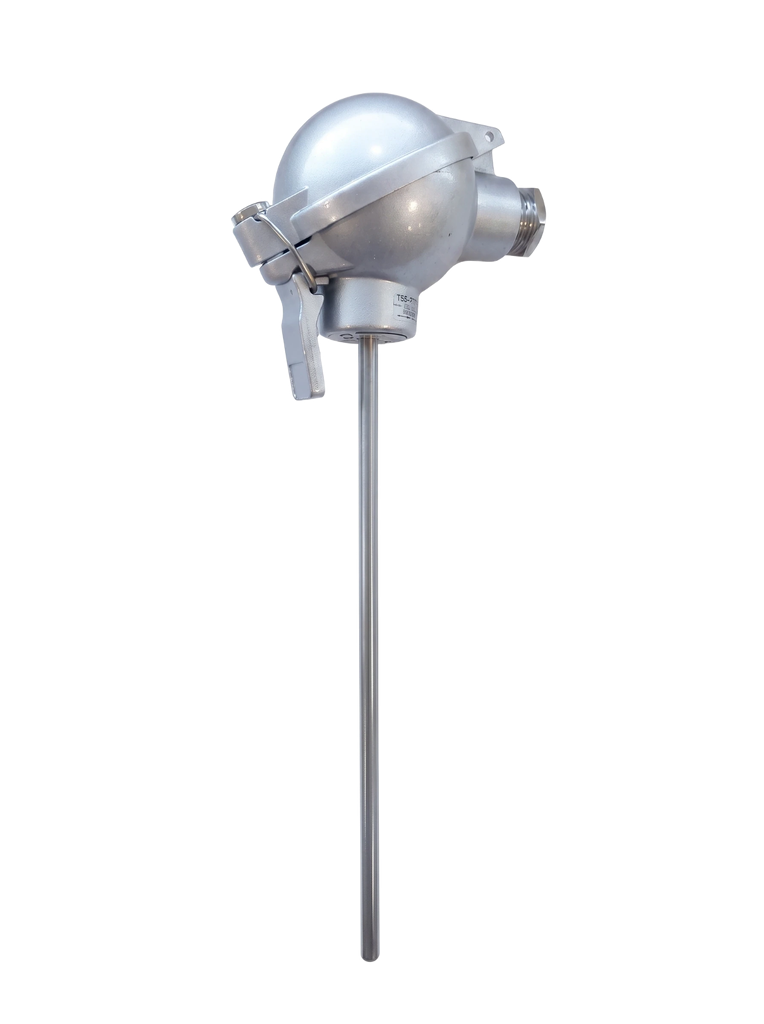 [R101-1-NAA-W4-6-50-316] Temperature sensor Pt100, 6x50mm, <600°C, MI, NAA, IP67