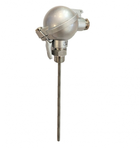 Temperature sensor PT100, max 600°C, 8x750mm, MI, NAA IP67
