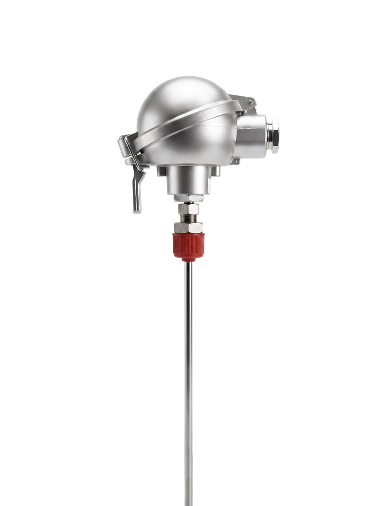 [17-1-6.0-3-500-CE11(NAA HEAD)-R100-B-TBCSL3 (-TAILS TO SUIT TX)] Temperature sensor PT100, 6x500mm, B-class, <600°C, NAA head