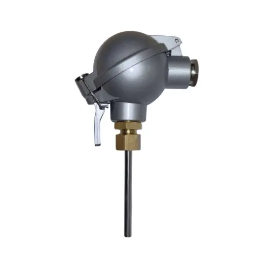 [17-1-6.0-3-350-CE11(NAA HEAD)-R100-B-TBCSL4] Temperature sensor PT100, 600C, 6x350mm, Mineral Insulated, NAA Head, IP67